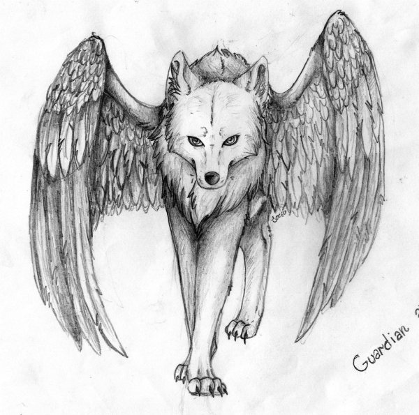 Волки с крыльями
