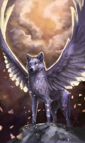 Рисунки волк ангел