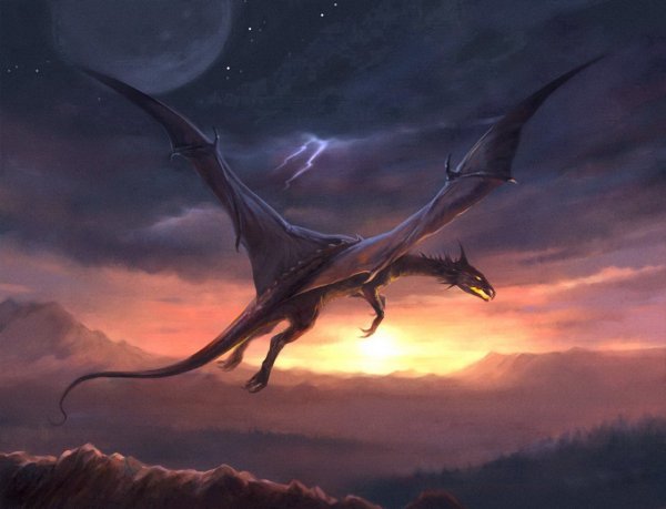 Рисунки взлетающего дракона