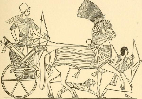 Рисунки египетский воин на колеснице