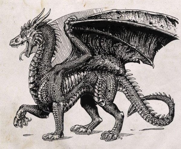 Средневековые иллюстрации дракон
