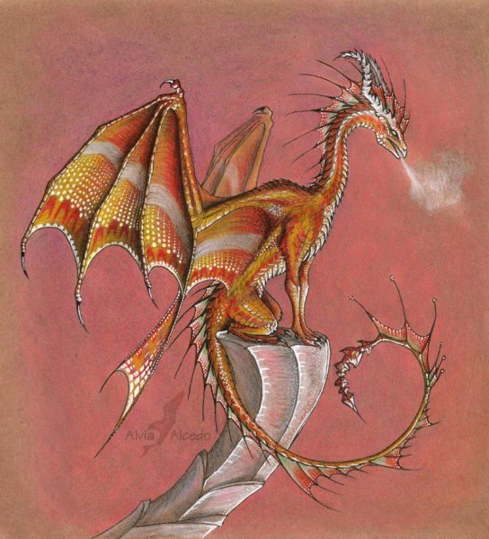 Alvia Alcedo красный дракон