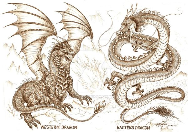 Рисунки европейский дракон