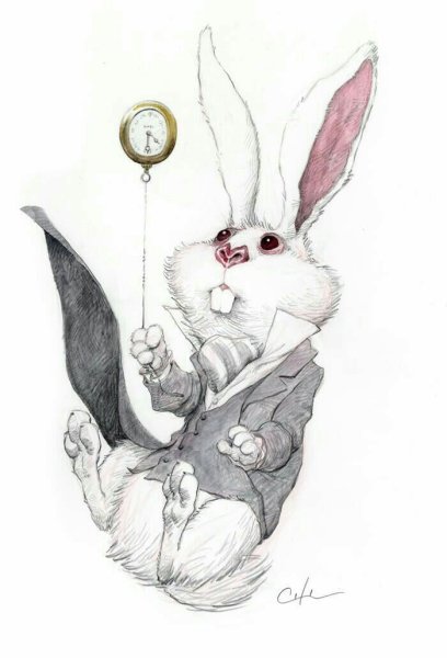 Кролик из Алисы в стране чудес рисунок