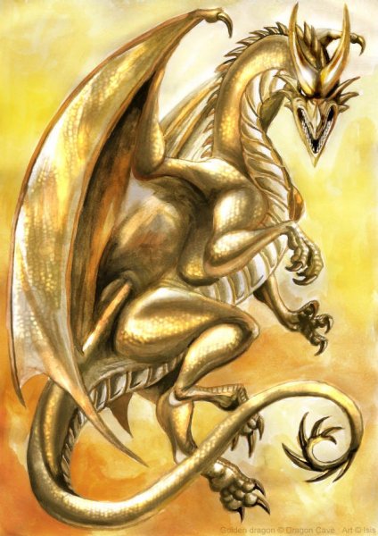 Белые драконы драгон Кейв