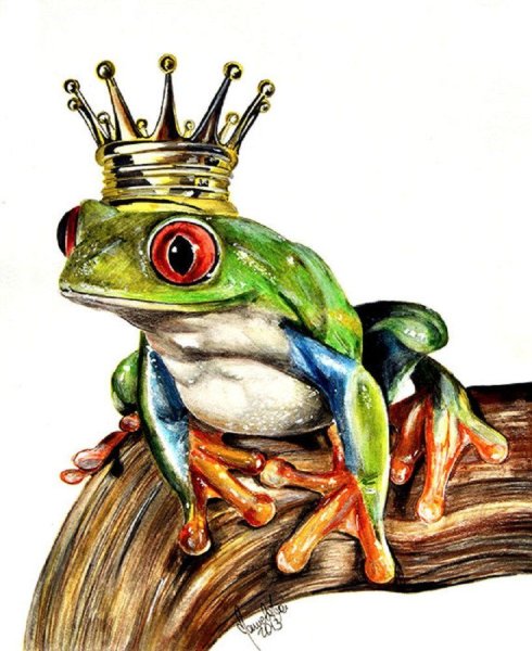 Красивая жаба