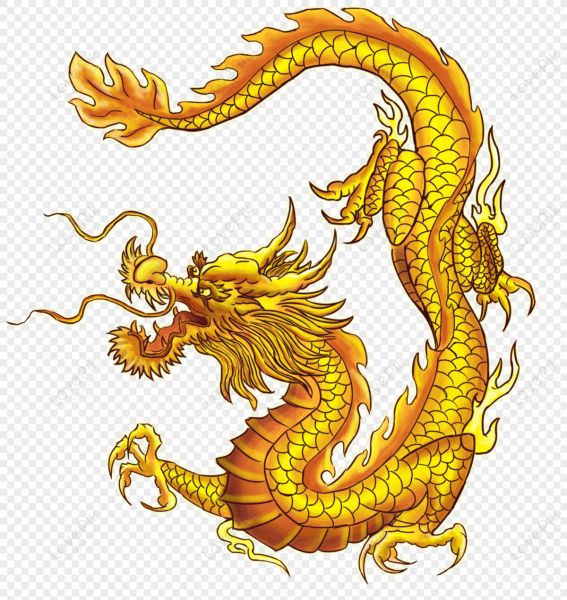 Золотой дракон китайский сбоку