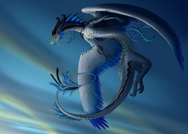 Водный дракон