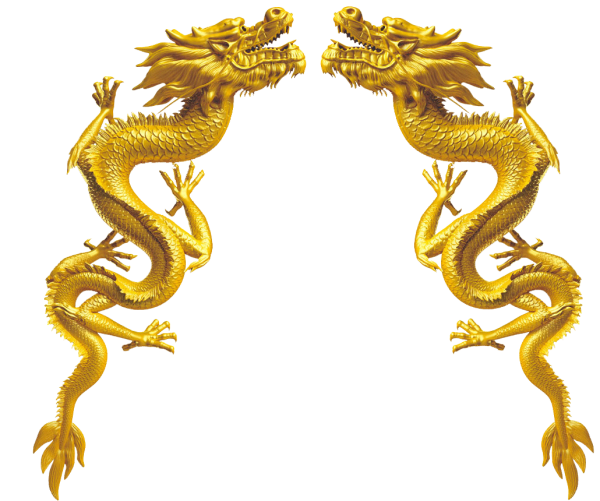 Китайский золотой дракон вектор
