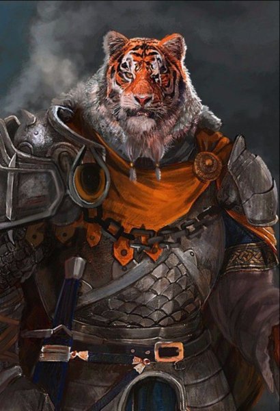 Тигр рыцарь