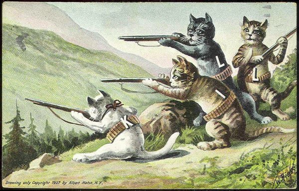 Коты воины
