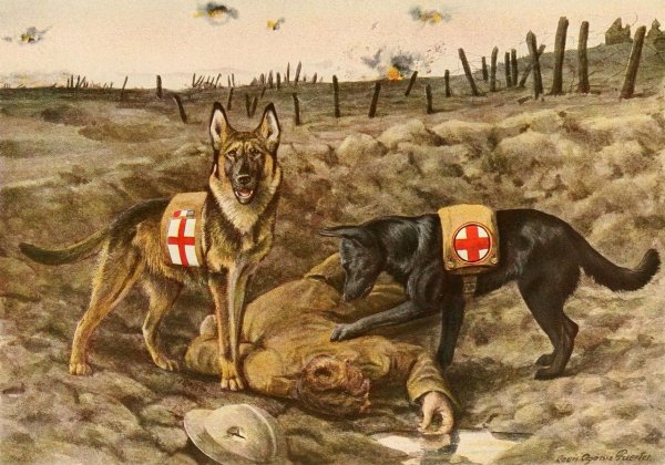Собака Джульбарс на войне 1941-1945