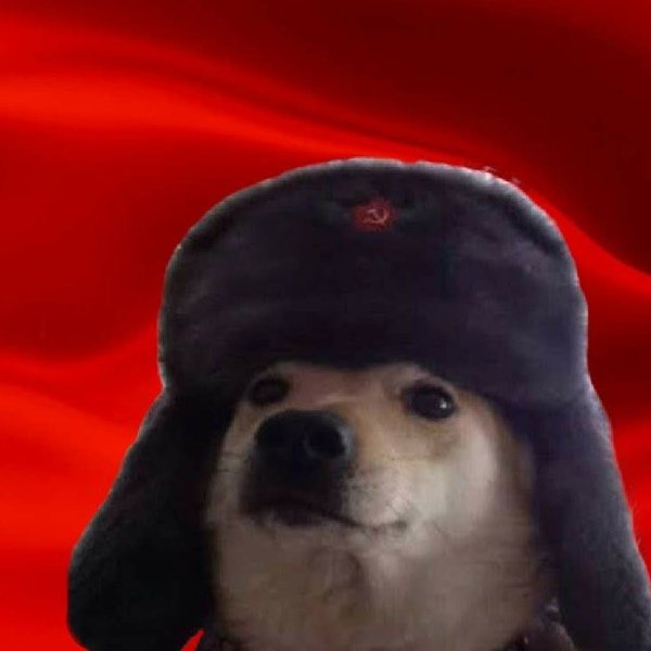 Собака с флагом СССР