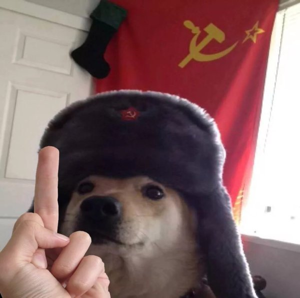 Собака в ушанке СССР