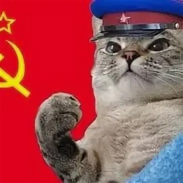 Кот с советским флагом