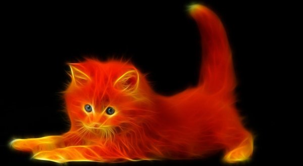 Огненный кот арт