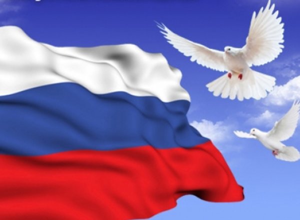 Голубь на фоне российского флага