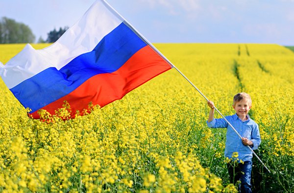Российский флаг в поле