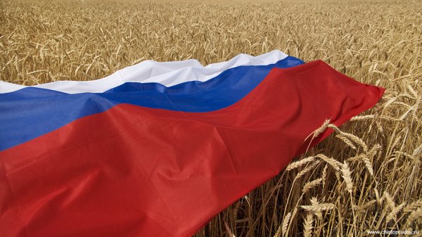 Флаг РФ развивающийся