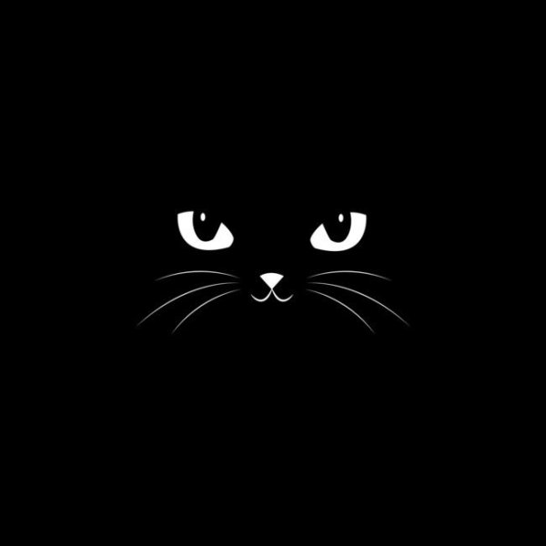 Мордочка котика на черном фоне