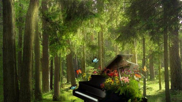 Пианино на природе