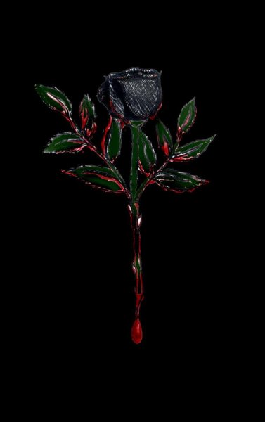 Кровавая роза на черном фоне