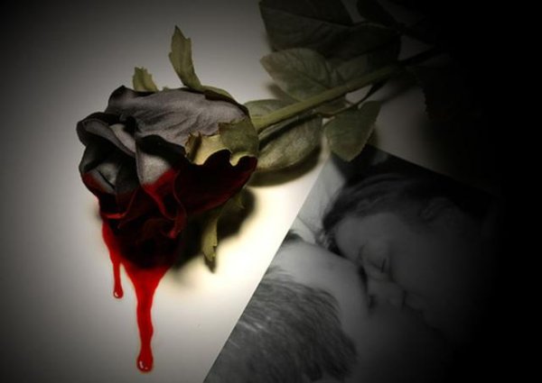 Черная роза в руке с кровью