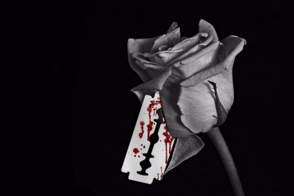 Окровавленная чёрная роза