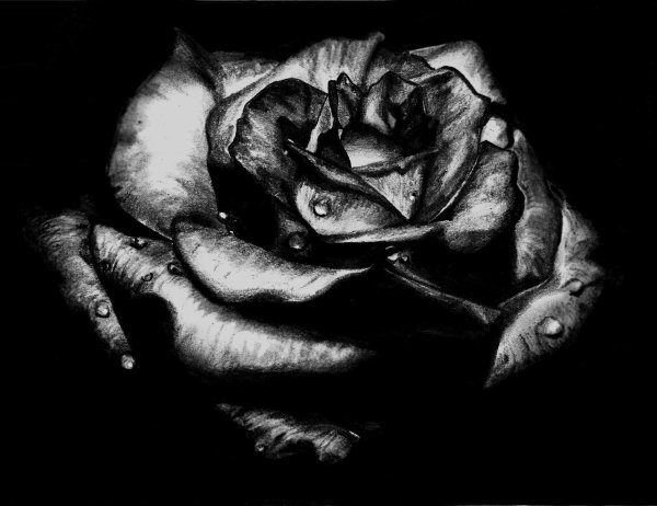 Розы на черном фоне живопись