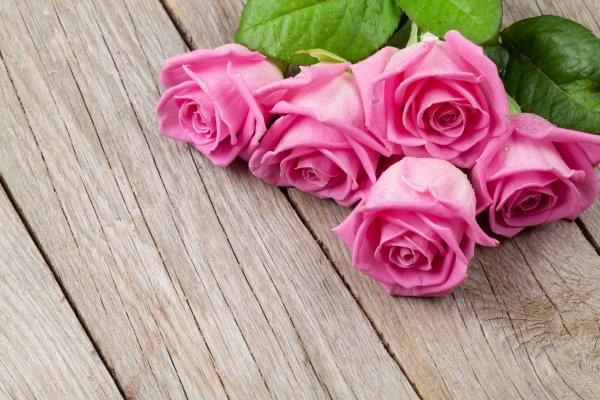 Розовые розы