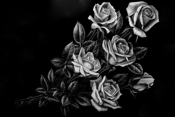 Розы на памятник для гравировки