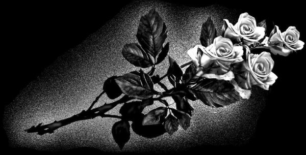 Розы на надгробной плите