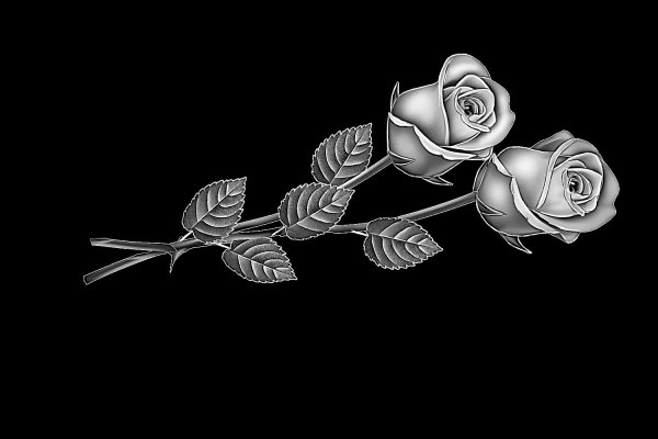 Розы гравировка гранит