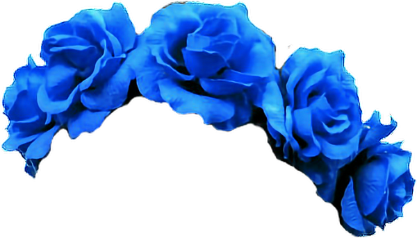 Синие розы на прозрачном фоне
