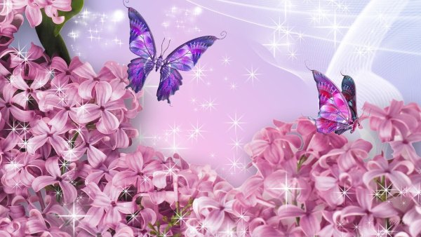 Красивые цветы и бабочки