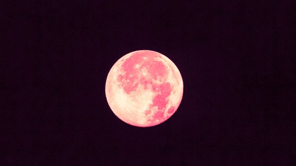 Полная розовая Луна