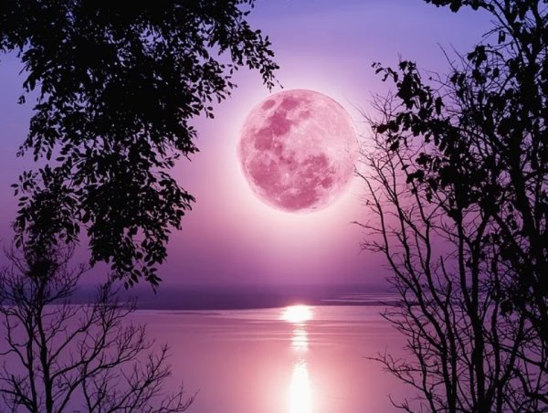Луна розовая в хорошем качестве