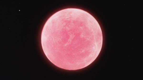 Розовая Луна 2022