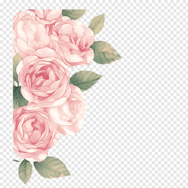 Розовые Акварельные цветы