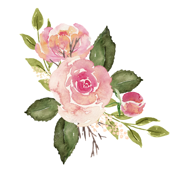 Розовые акварельные цветы на белом фоне