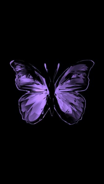 Сиреневые бабочки на черном фоне
