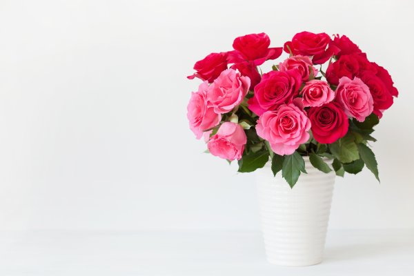 Розовые цветы в вазе на белом фоне