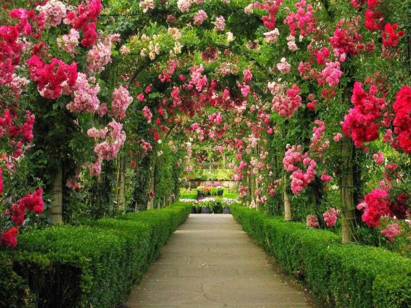 «Гюлистан» - «сад роз». В Персии