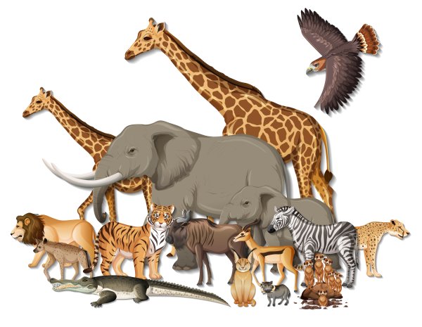 Иллюстрация Векторная животные Африки на фоне