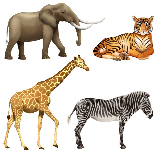 Африканские животные на белом фоне