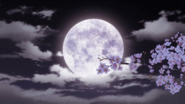 Сакура на фоне луны