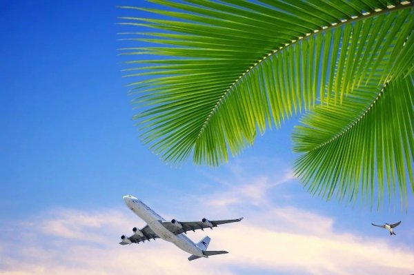 Самолет море пальмы