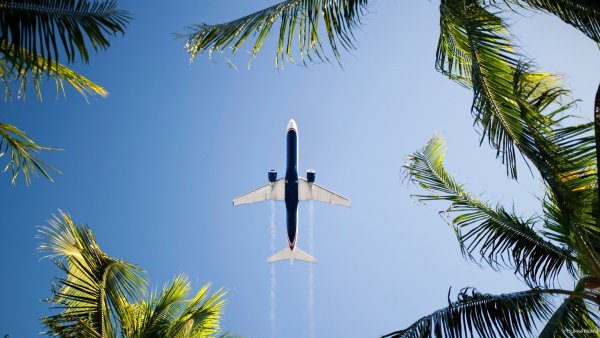 Самолёт над морем и пальмами