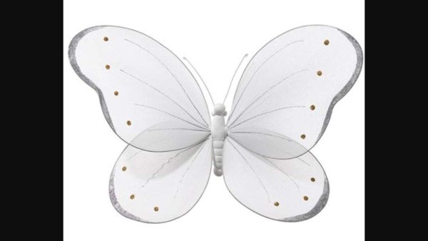 Белые полупрозрачные бабочки