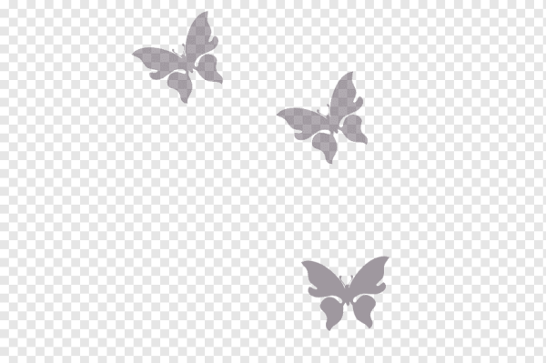 Серые бабочки на белом фоне